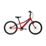 Bicicleta Infantil Groove Ragga 20 - 2019